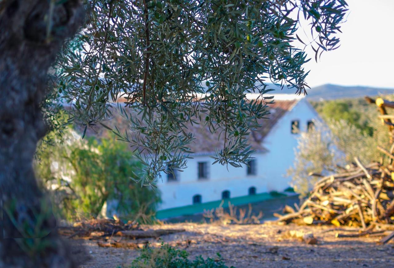 Cortijo Alzamigaja Villa Archidona Eksteriør bilde