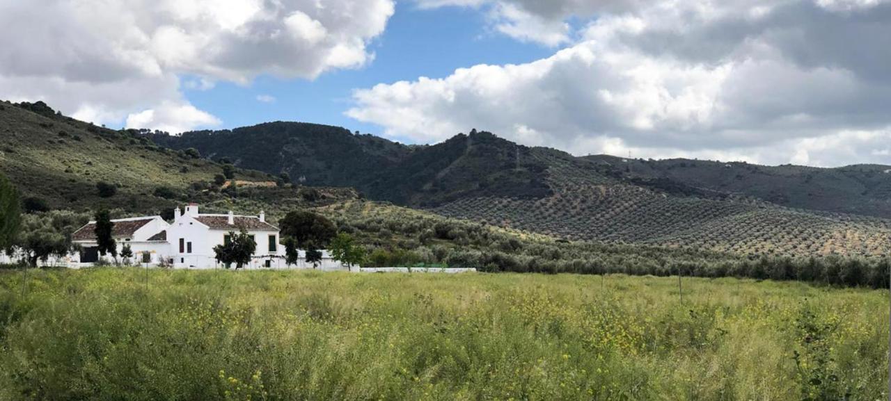 Cortijo Alzamigaja Villa Archidona Eksteriør bilde